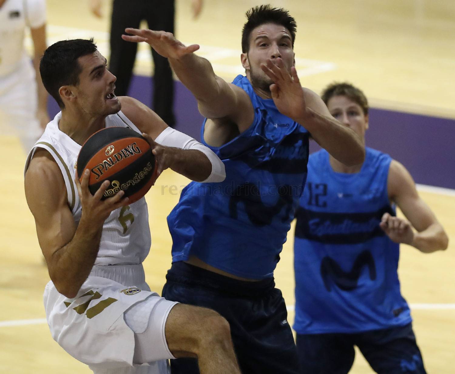 Pretemporada Baloncesto| Comienza la puesta a Punto