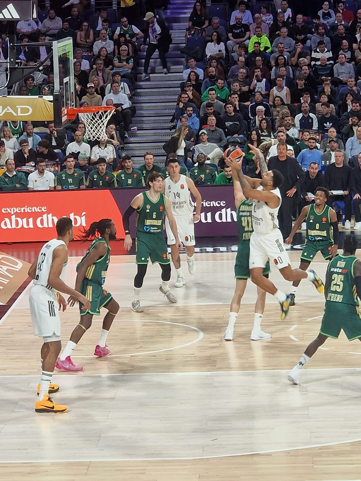 Euroliga 25-26 J11 | Derrota dolorosa